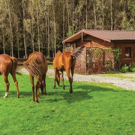 Casa de Férias Holiday Ul. Lesna
